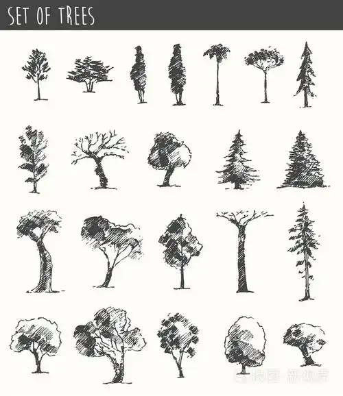 树木素描集, 老式矢量风格, 手绘