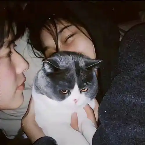 情侣头像秀恩爱真人情头