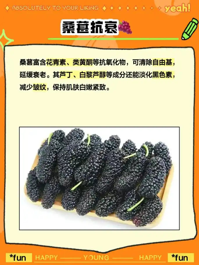 桑葚的功效与作用的功能与主治 姐妹们有没有发现,桑葚这种水果不仅