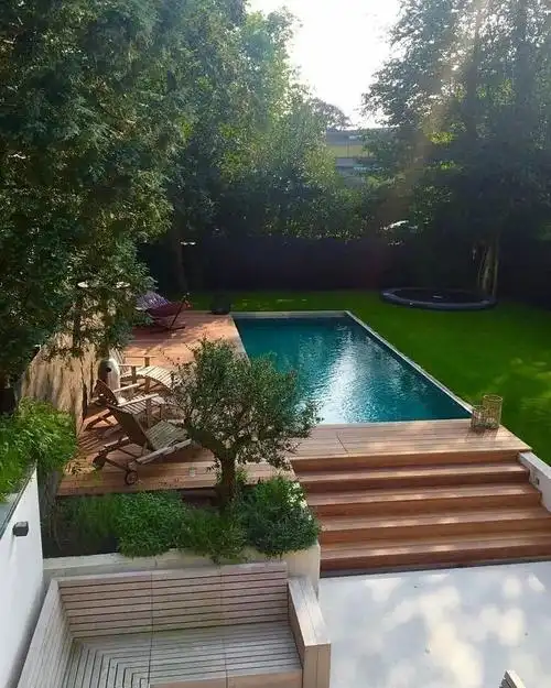 唯美的私家庭院的植物景观欣赏