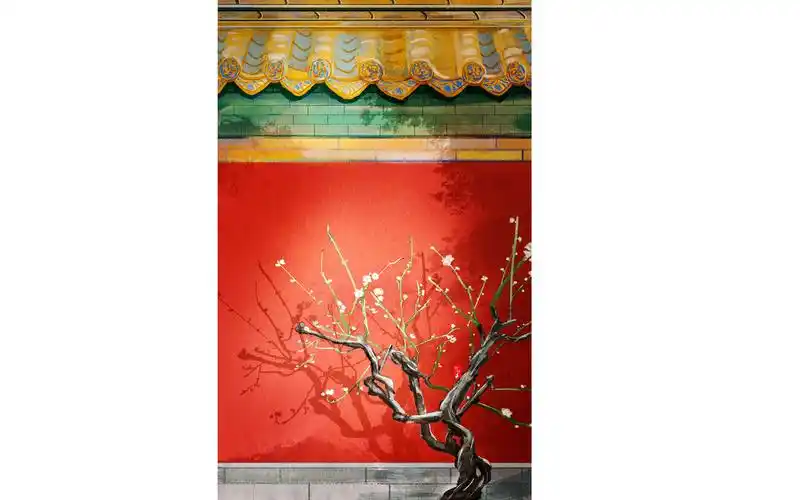 活动作品绘画板绘故宫一角