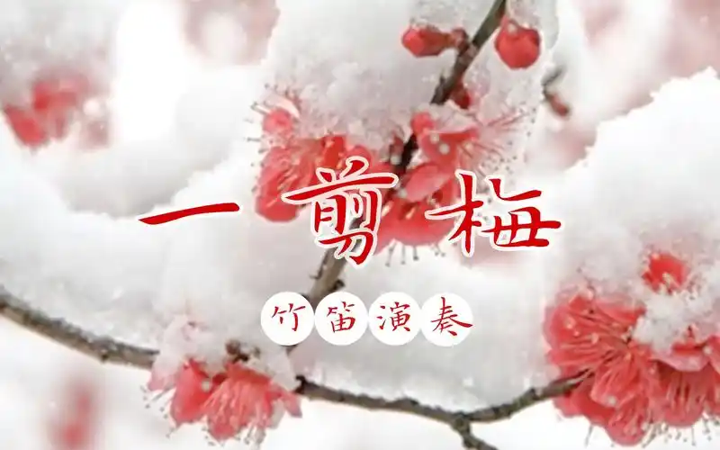 笛子一剪梅真情像梅花开过爱乐老农