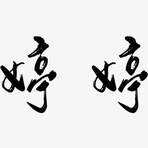 婷婷行云飞白艺术字签名-婷婷行云飞白艺术字签名图片下载-字魂网