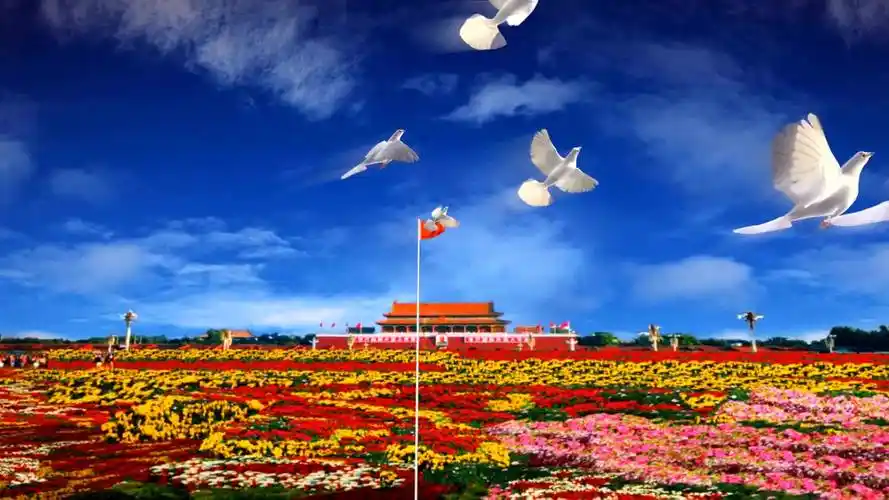 建党100周年中国脊梁朗诵背景视频-教育视频-搜狐视频