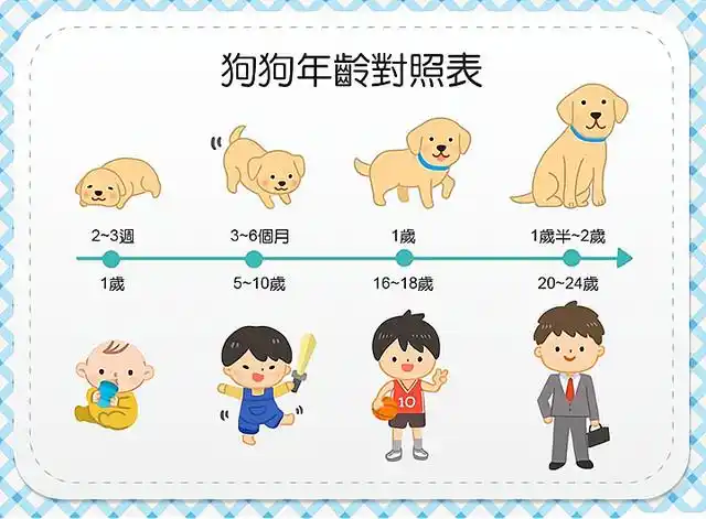 【2】军犬的退役年龄