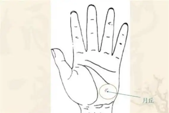 月丘有横纹图解是什么?