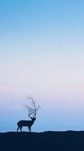 唯美雄鹿梦幻背景