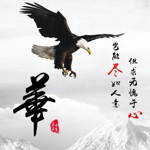 微信头像姓氏头像励志大鹏展翅精美设计26个名字任你来取