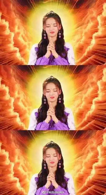 王小姐的狗_的微博_微博