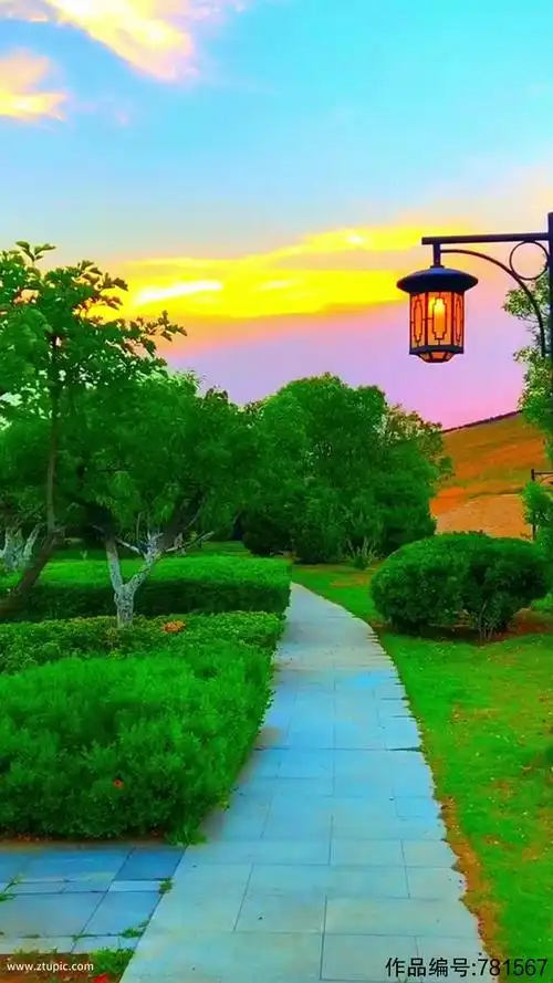 绿色植物自然风光风景自媒体实拍素材