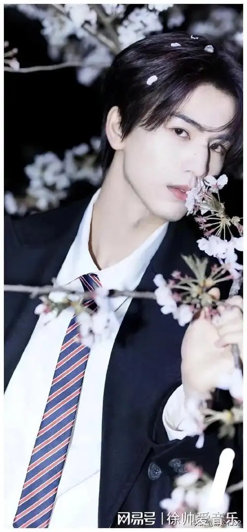 新八大四小火爆出圈,杨洋,宋威龙等流量不再|李现|成毅|女明星_网易