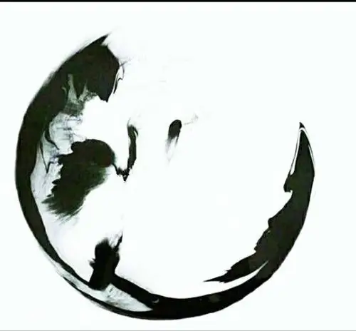 想问你以前的回答可以找到无字的底图吗?