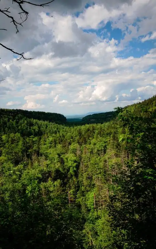 【我的间隔年】第四步——天池之谜_长白山西坡景区游记_途牛