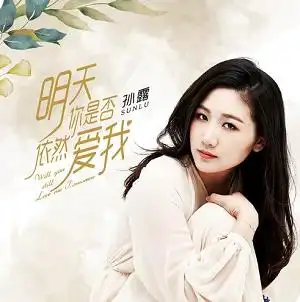 孙露明天你是否依然爱我全新专辑高品质mp3无损flac417mb百度云网盘