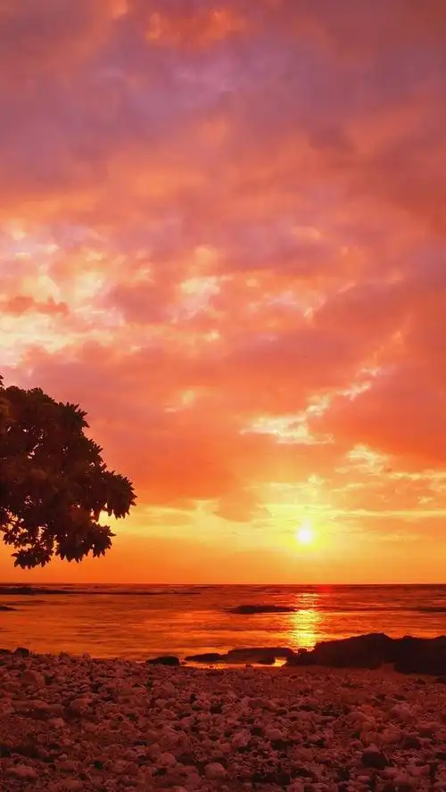 iphone5唯美夕阳壁纸下载-风景-手机壁纸下载-美桌网