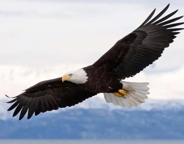 英威腾急需要一个有实力的战略投资者来支持其更好的发展.好展翅高飞.