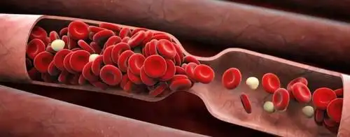 身上这条经很神奇,每天敲打50下,血毒排了,脂肪掉了,气血也足了!