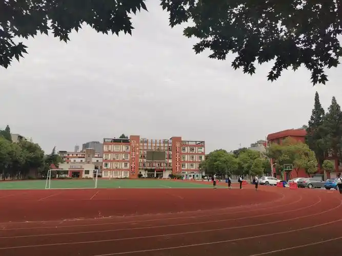 "王者归来" --------武汉市和平中学九年级学子复学心理支持行动 - 美