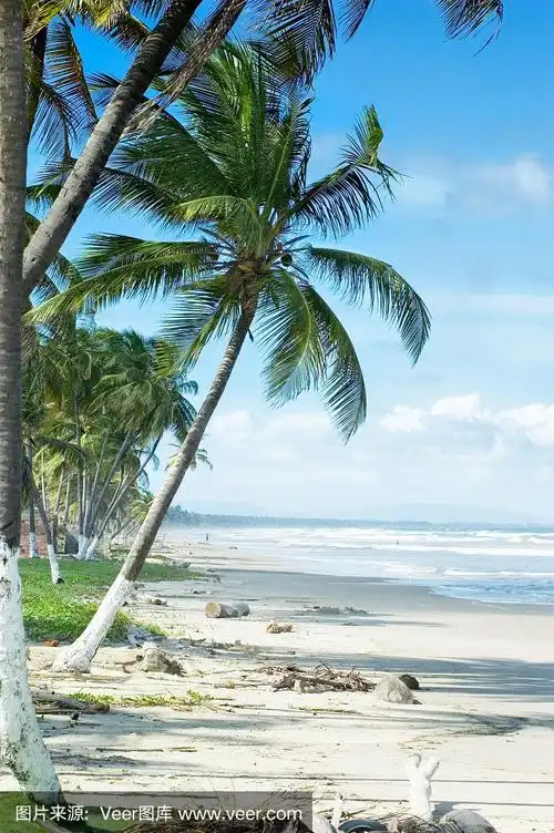 798_1200竖版 竖屏