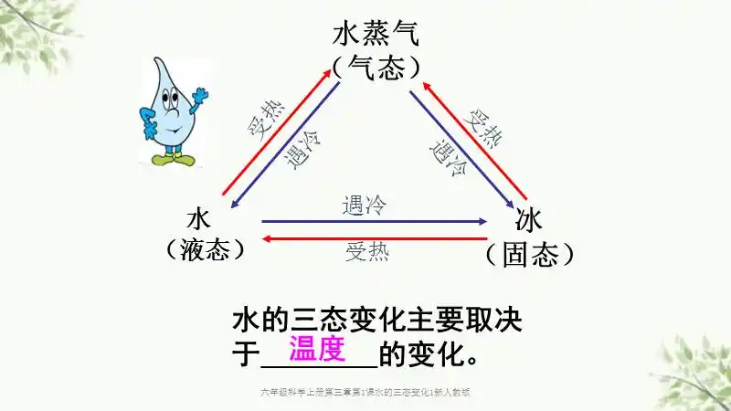 六年级科学上册第三章第1课水的三态变化1新人教版
