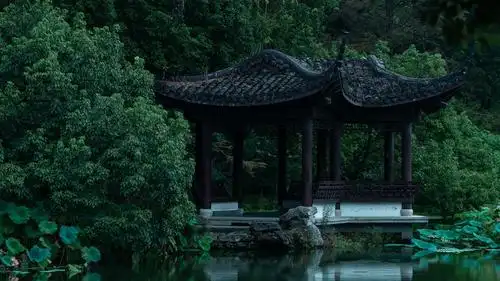 电脑壁纸 人文 名胜古迹 杭州西湖曲院风荷雨中美景