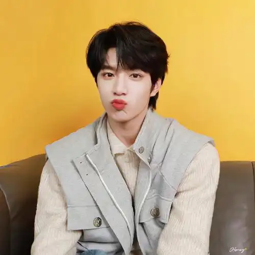 刘耀文灰发比耶自拍##刘耀文比耶怼脸拍