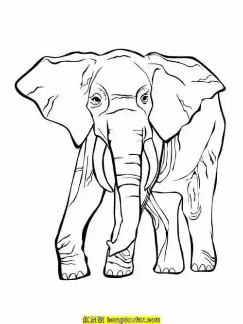 10张不同类型的大象卡通涂色图片-红豆饭小学生简笔画大全