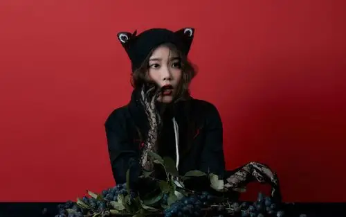 可爱少女iu李知恩时尚写真网友爱了爱了