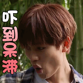 野生厨房林彦俊吓到呆滞伤心soogifsoogif出品gif动图_动态图_表情包