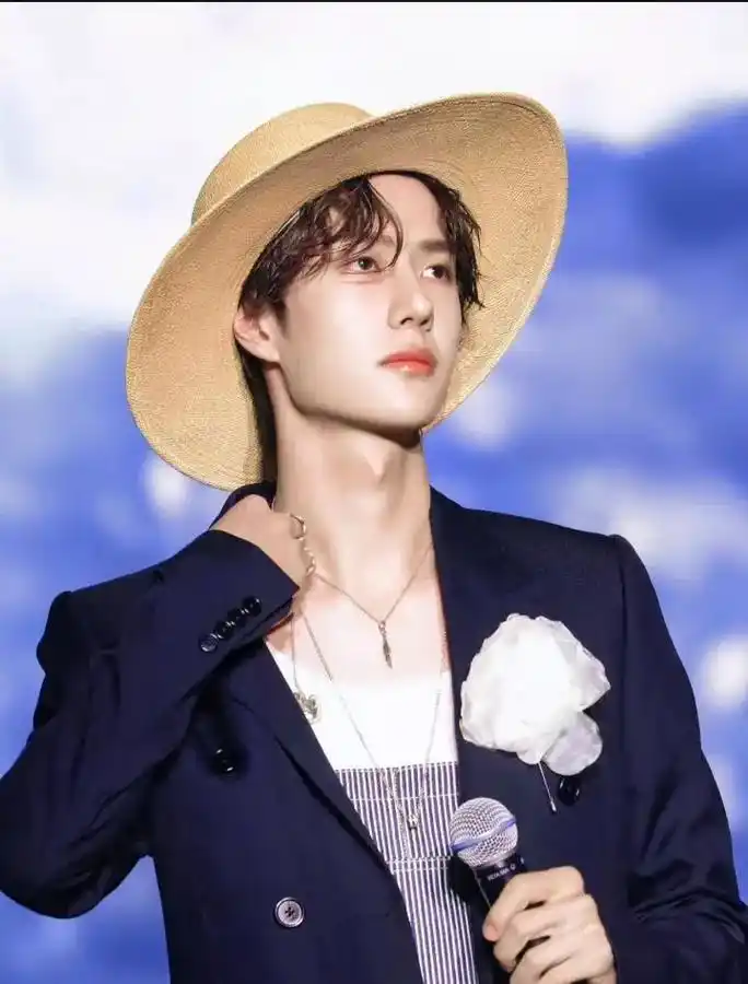 路飞装  白芍药   正衣冠   见良人.#博君一肖szd  - 抖音