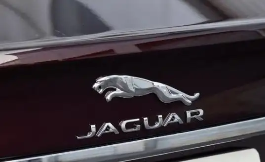 豹子车标,车长近5米1,轴距3100mm,跌至30万无人问津_搜狐汽车_搜狐网