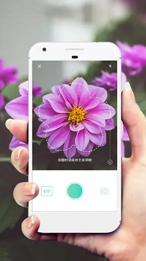 形色- 拍照识花识别植物-appgodlike