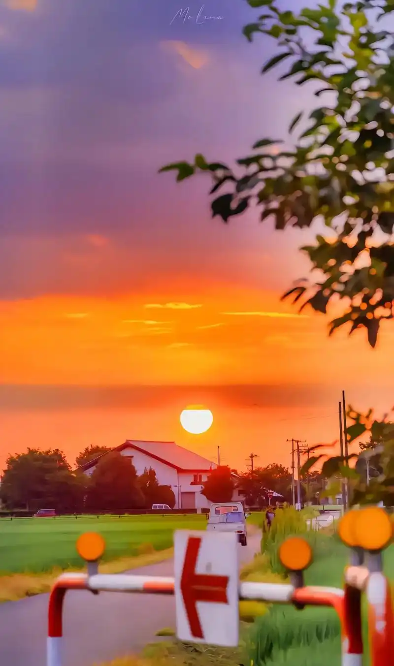 唯美图片配伤感音乐有点搭#每一张照片都是满满的回忆 #那些最 - 抖音