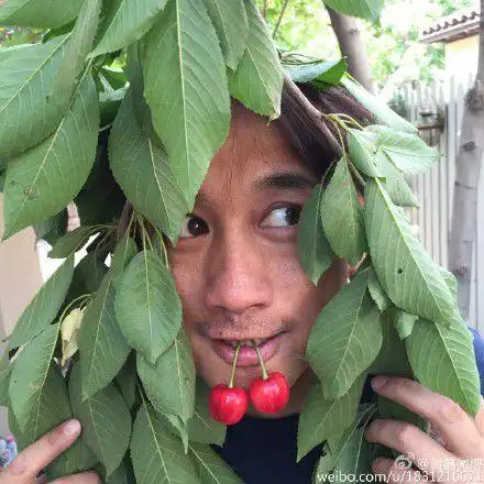 黄磊晒搞怪呆萌照;叼樱桃自黑"特种兵"(图)