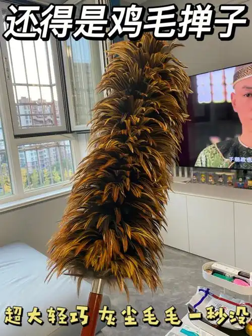 婆婆给买的鸡毛掸子