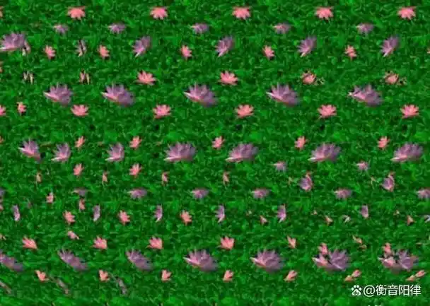 三维立体图你能看到隐藏的精彩吗