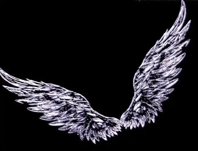 动漫天使的翅膀图片