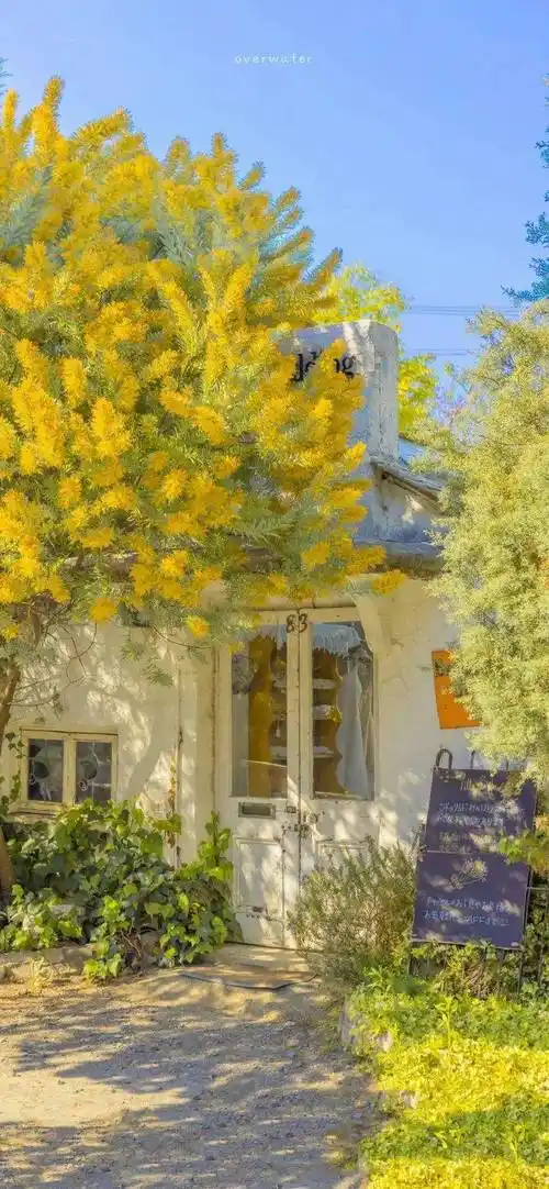 壁纸 | ins风 小众可爱壁纸