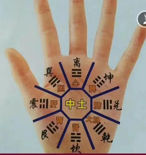 仁爱堂_手少阳三焦经篇