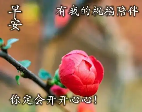 原创2021年最新美丽风景夏季早安图片带字带祝福语,唯美的夏天早上好