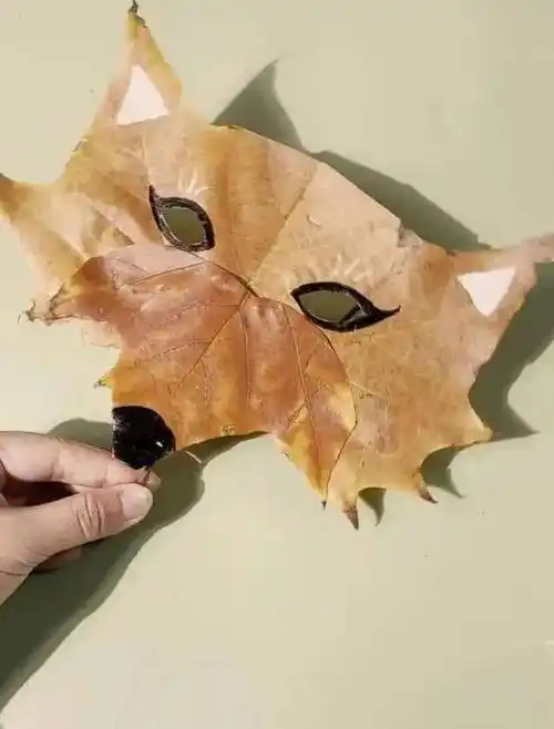 泰·有趣 | 金秋树叶面具手工制作活动招募令_读者_小朋友_自然