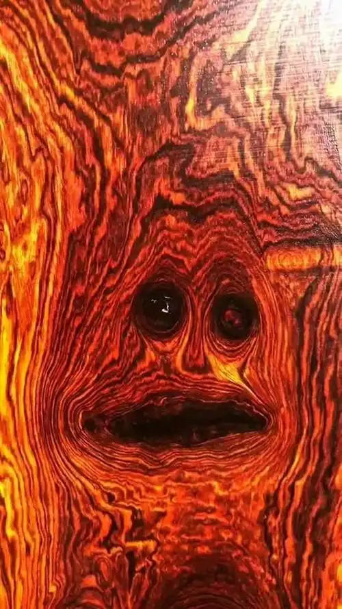 鬼脸,鬼眼,今天是见识了,嘿嘿