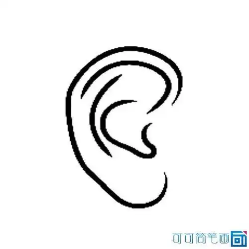 3怎么画耳朵简笔画