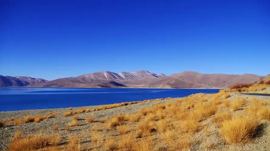 西藏羊卓雍措之碧蓝色湖泊