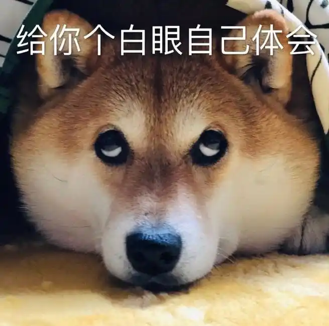 萌宠汪星人给你个白眼自己体会翻白眼呆萌可爱gif动图_动态图_表情包