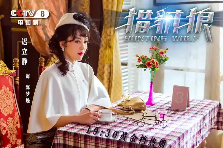 猎豺狼央八热播迟立静百变特工雷霆再起