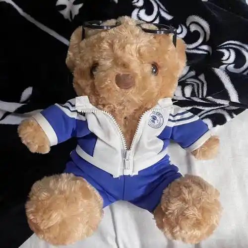 北交大附中八一学校首师大附中北京汇文中学西城外国语北京八中清华