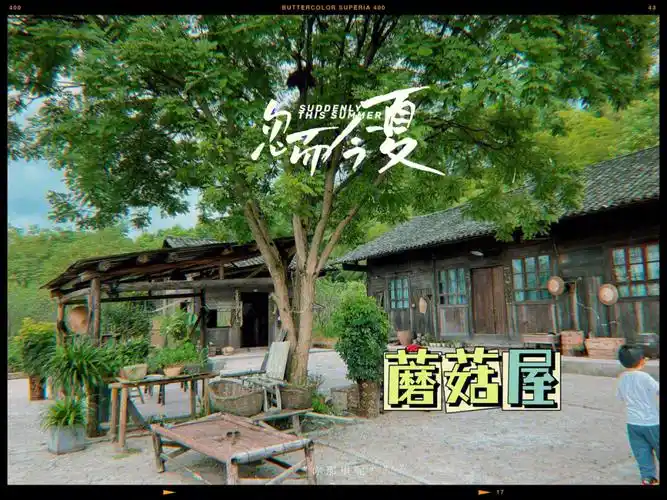 95打卡,向往的生活第五季蘑菇屋,常德桃花源白鳞洲.