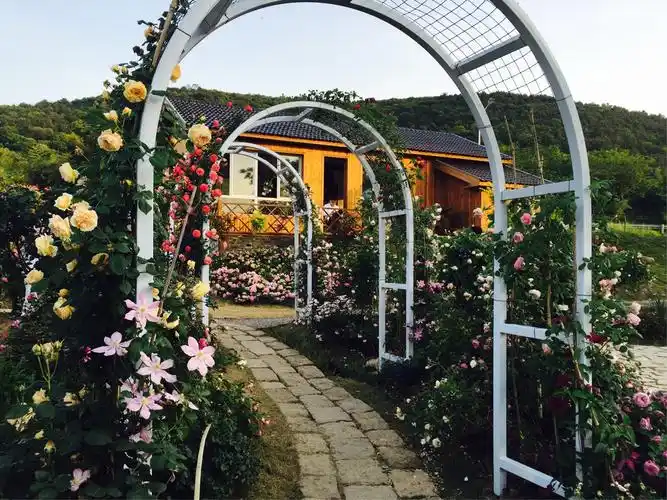 拔草最美花园——多多花园.