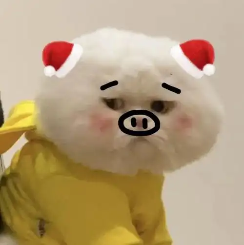 145张可爱沙雕的表情包